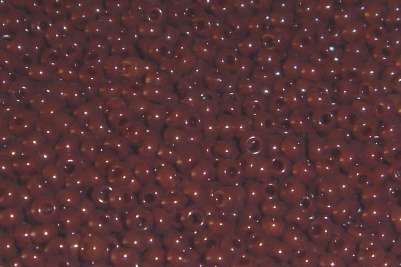 foto - OPAQUE CHOCOLATE BROWN