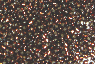 foto - CHOCOLATE SILVER-LINED SILVER
