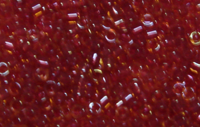 foto - C-LINED CRANBERRY