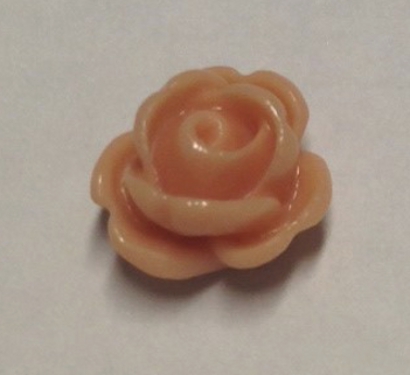 foto - ROSELLINA ROSA