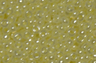 foto - CEYLON PALE YELLOW