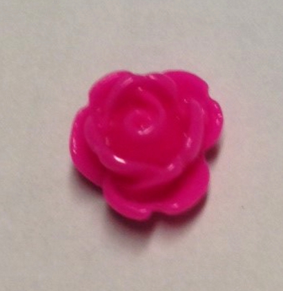 foto - ROSELLINA FUCSIA